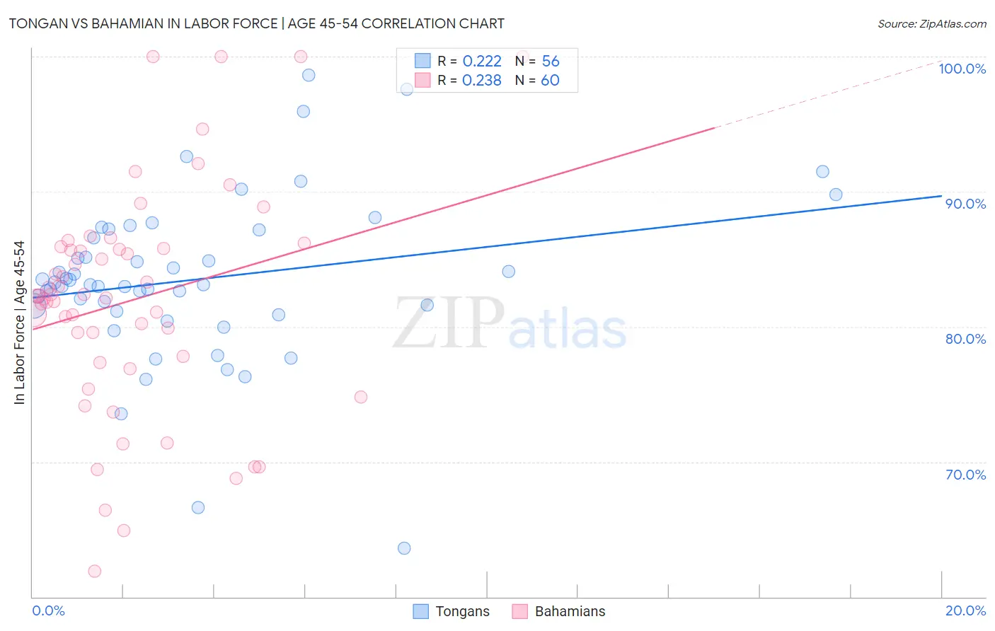 Tongan vs Bahamian In Labor Force | Age 45-54