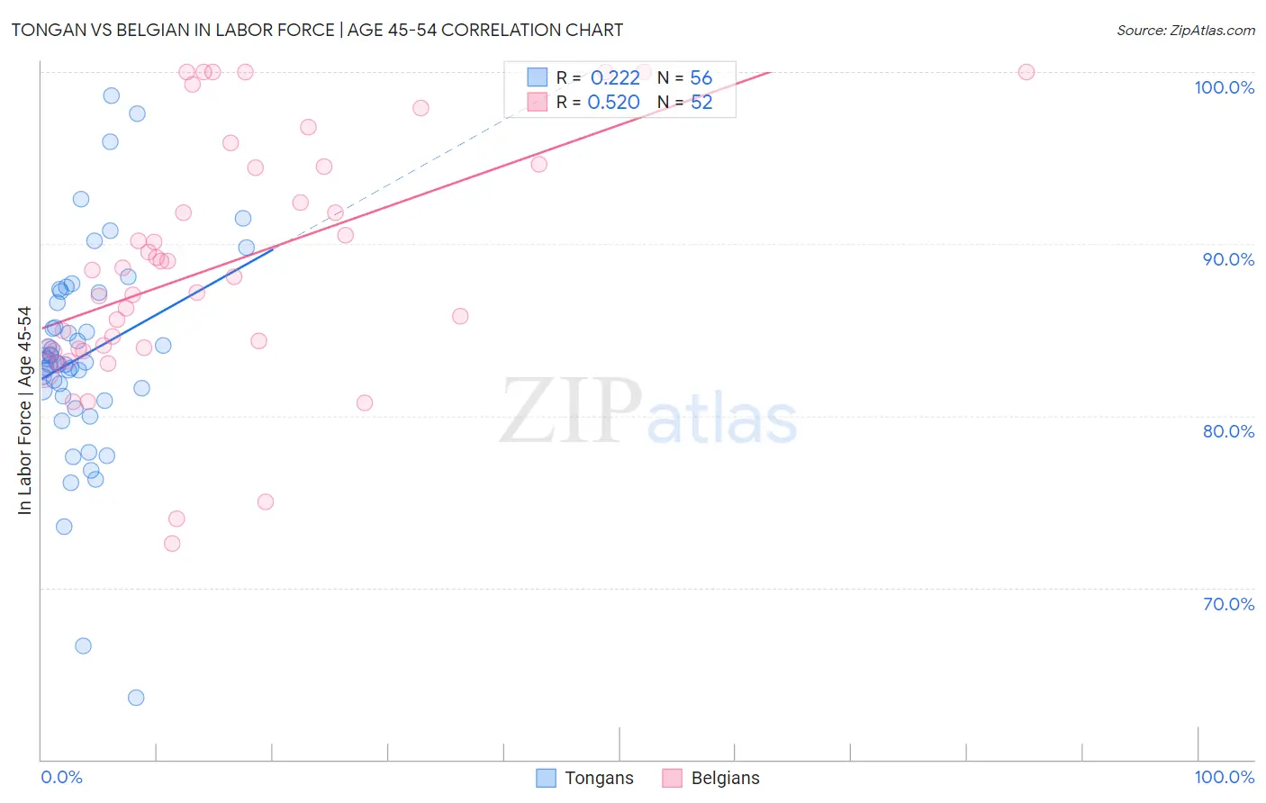 Tongan vs Belgian In Labor Force | Age 45-54