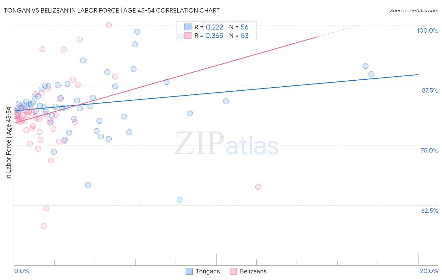 Tongan vs Belizean In Labor Force | Age 45-54