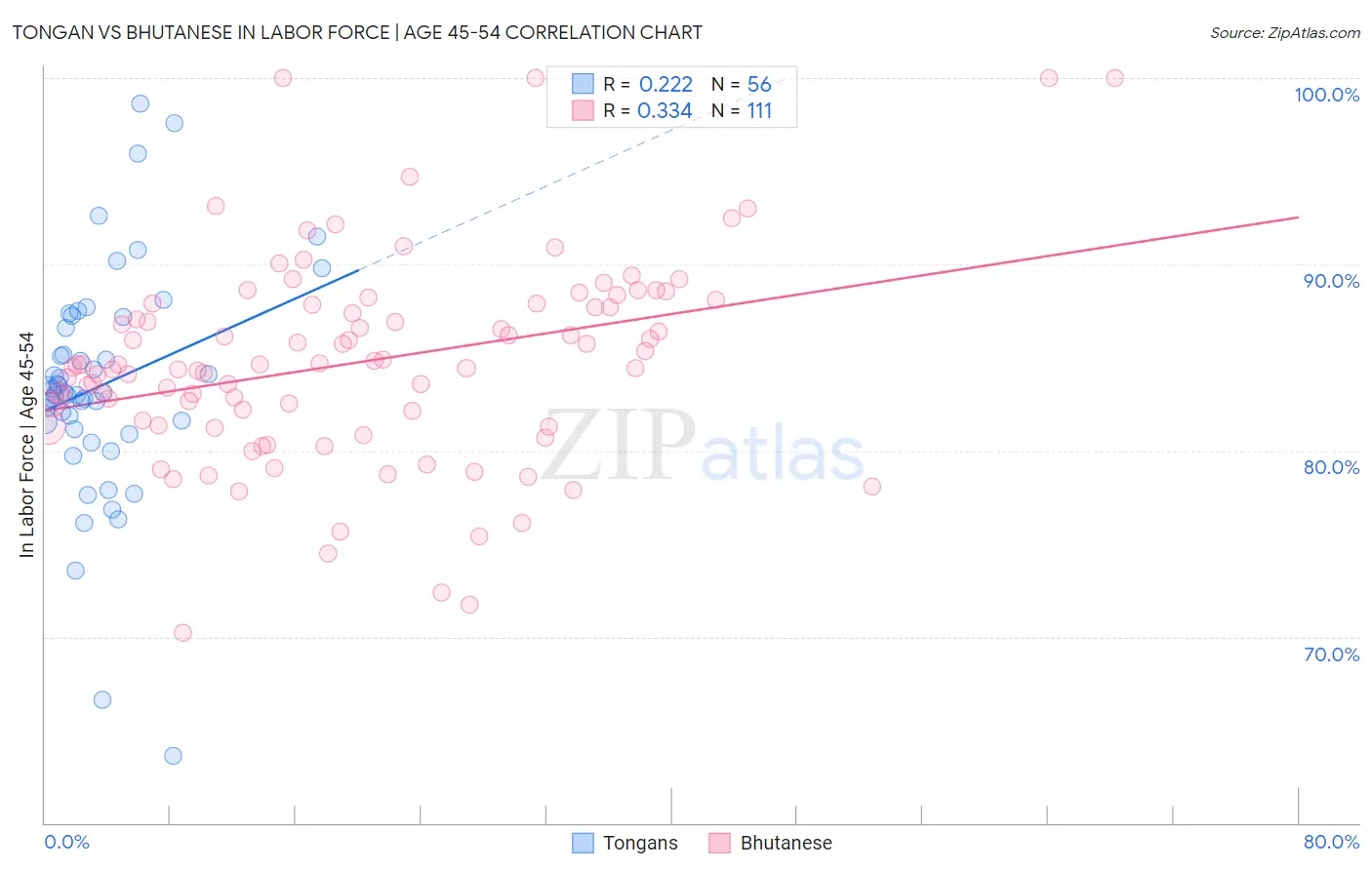 Tongan vs Bhutanese In Labor Force | Age 45-54