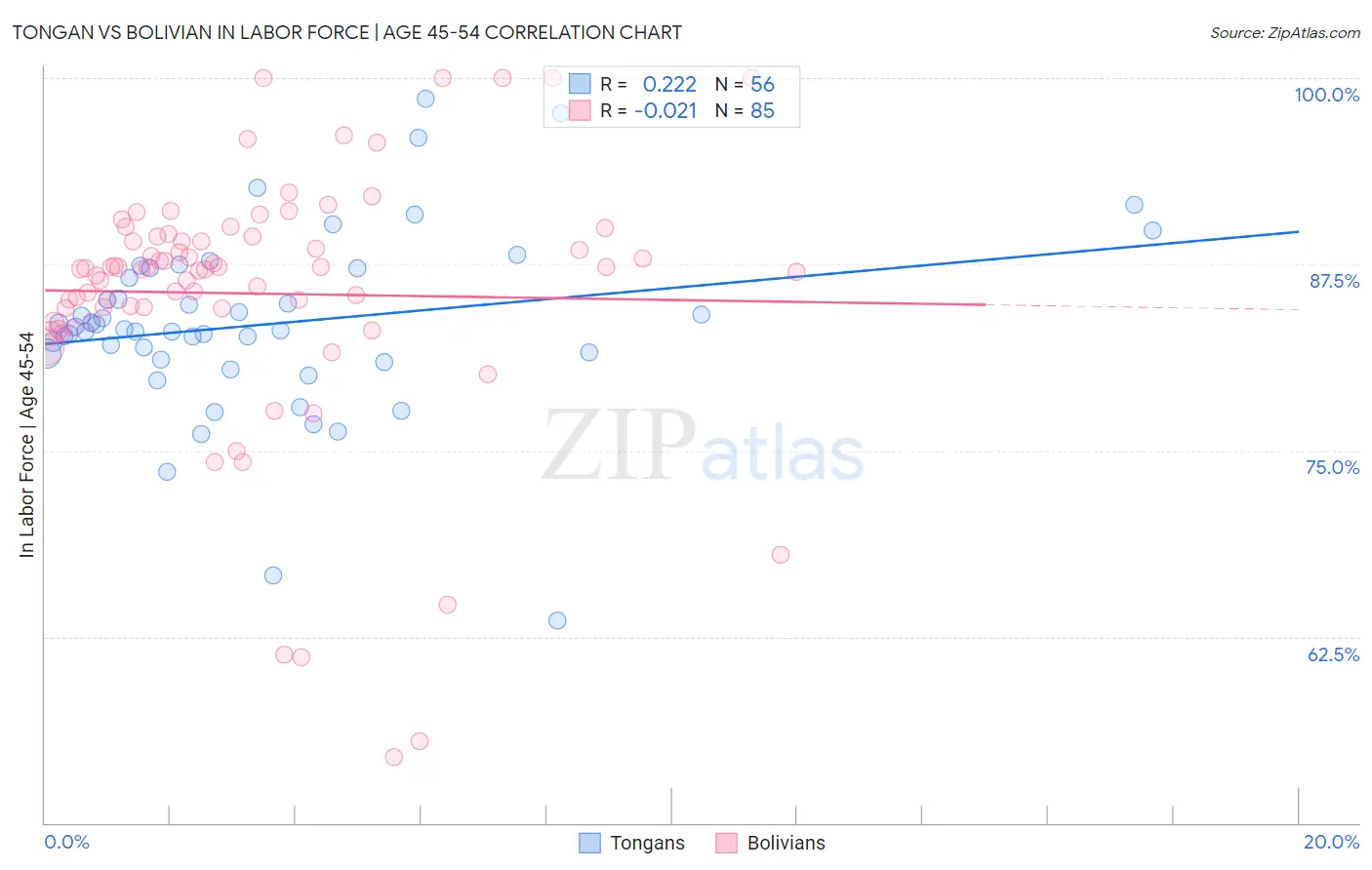 Tongan vs Bolivian In Labor Force | Age 45-54