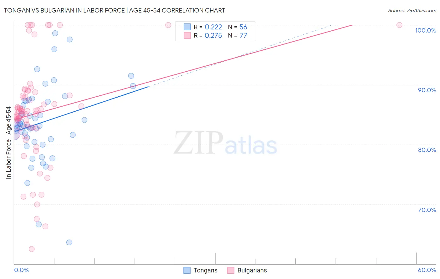Tongan vs Bulgarian In Labor Force | Age 45-54