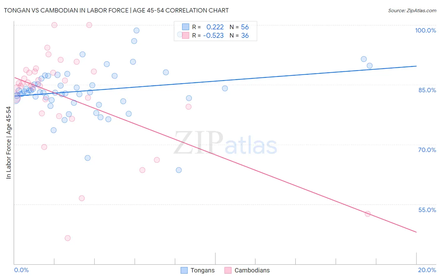 Tongan vs Cambodian In Labor Force | Age 45-54