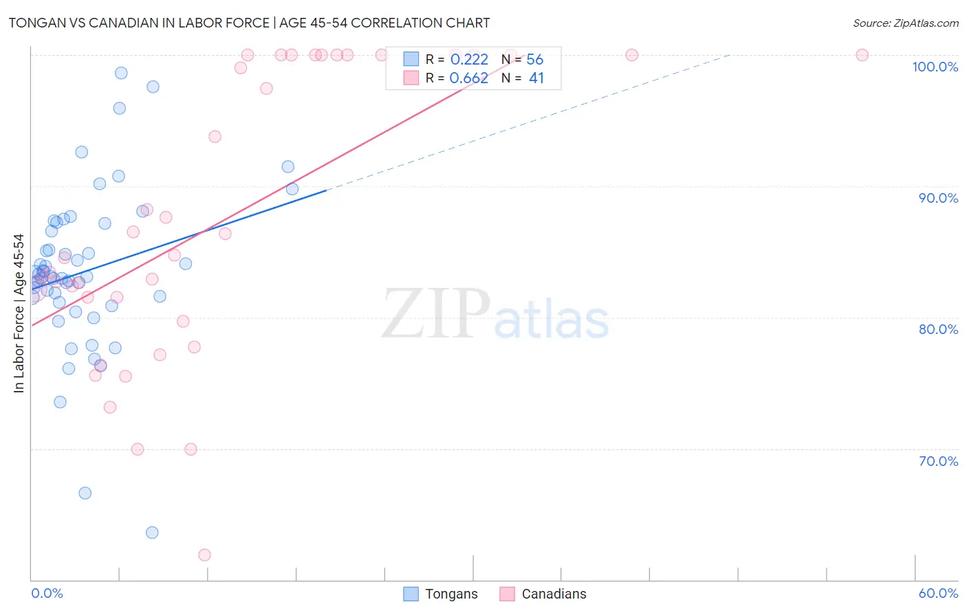 Tongan vs Canadian In Labor Force | Age 45-54