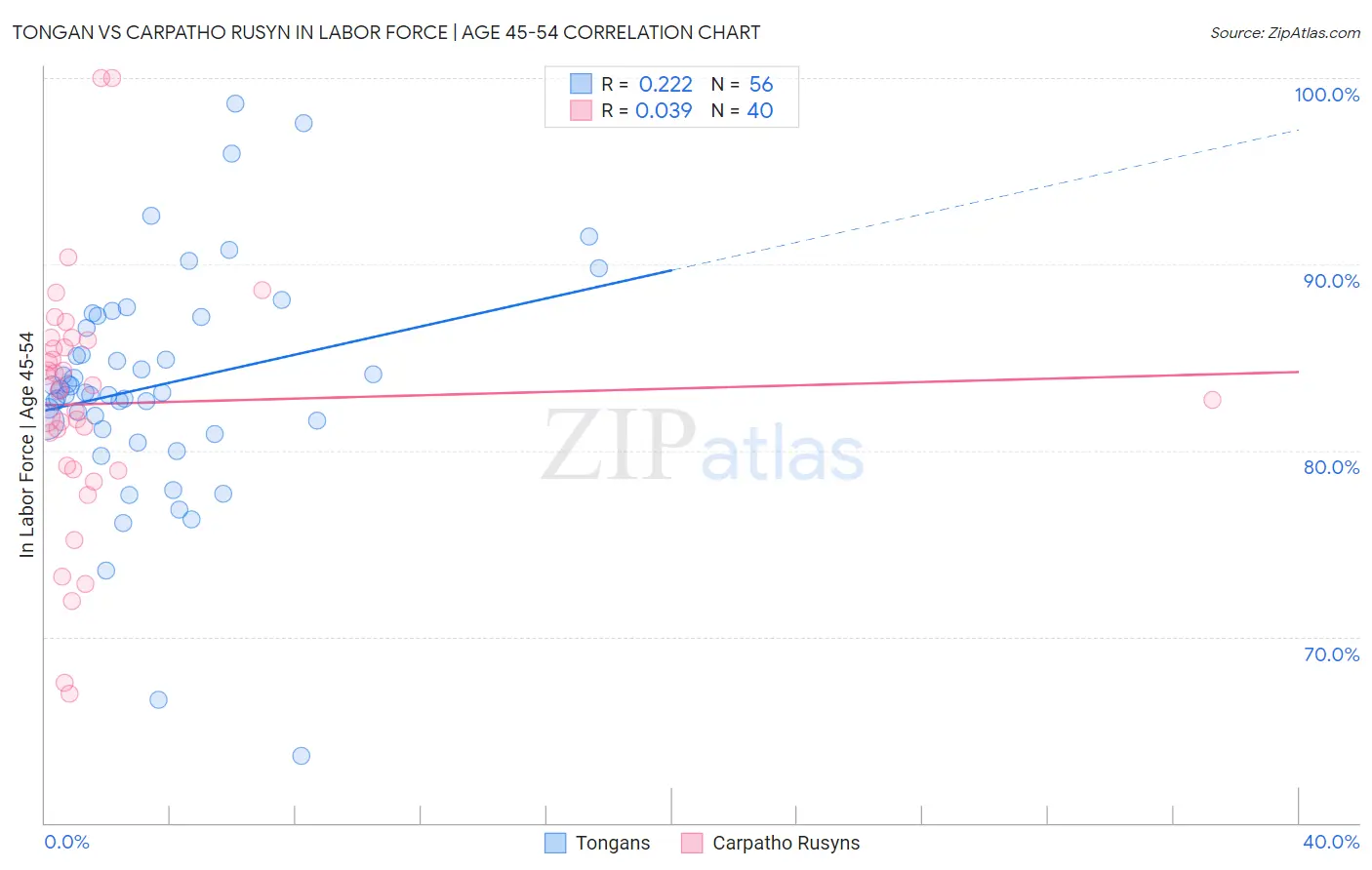 Tongan vs Carpatho Rusyn In Labor Force | Age 45-54