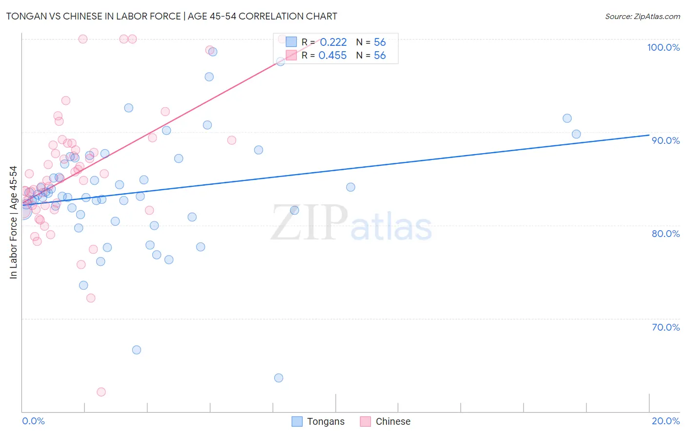Tongan vs Chinese In Labor Force | Age 45-54