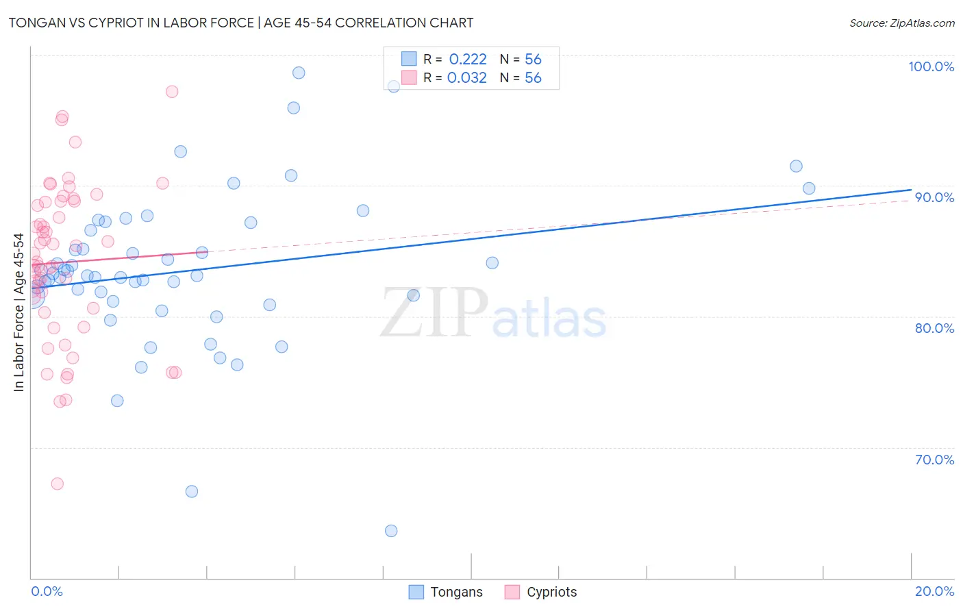 Tongan vs Cypriot In Labor Force | Age 45-54