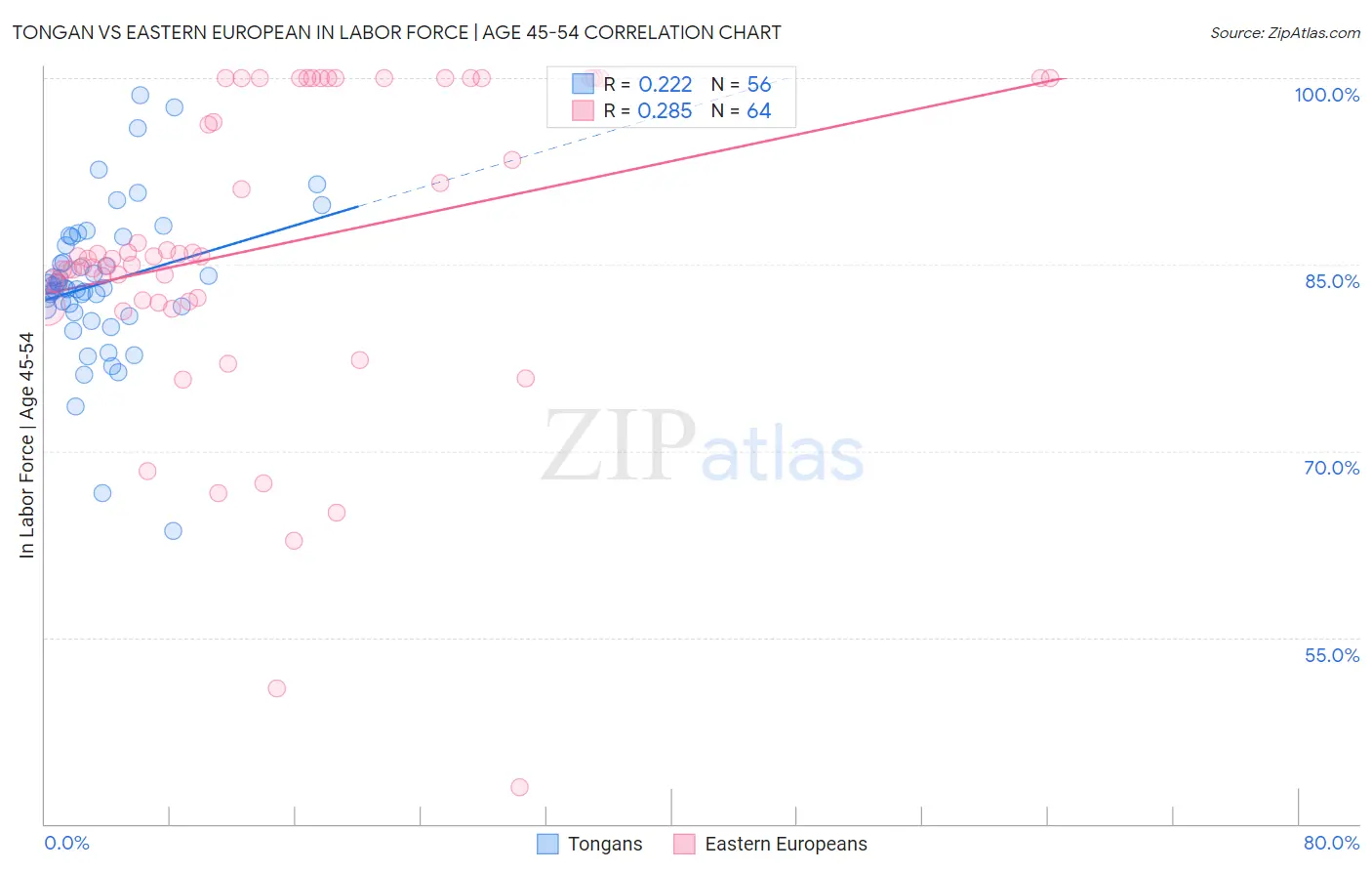 Tongan vs Eastern European In Labor Force | Age 45-54