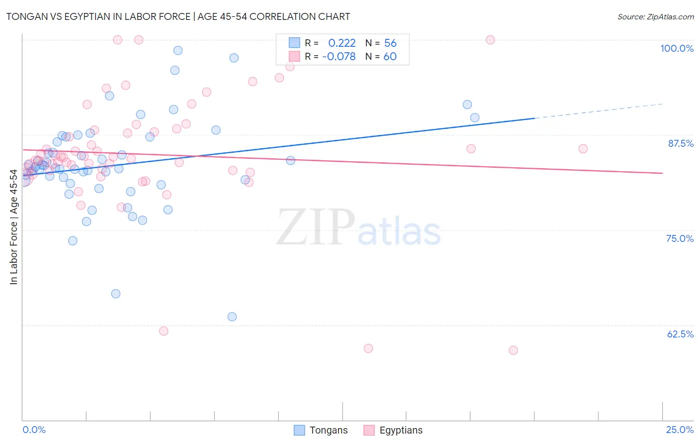 Tongan vs Egyptian In Labor Force | Age 45-54