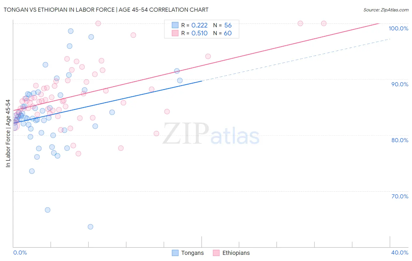 Tongan vs Ethiopian In Labor Force | Age 45-54