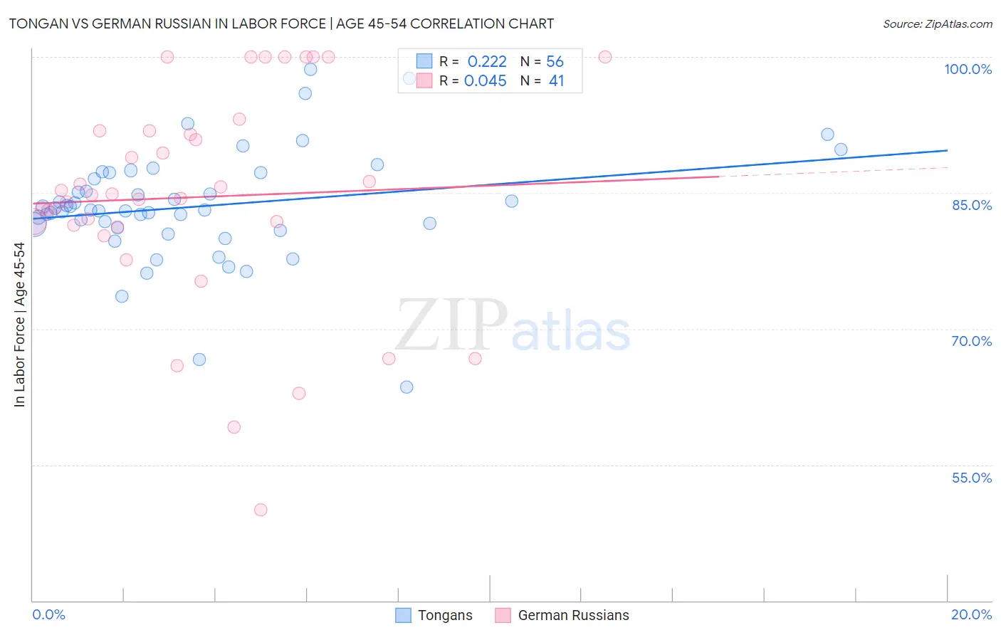 Tongan vs German Russian In Labor Force | Age 45-54