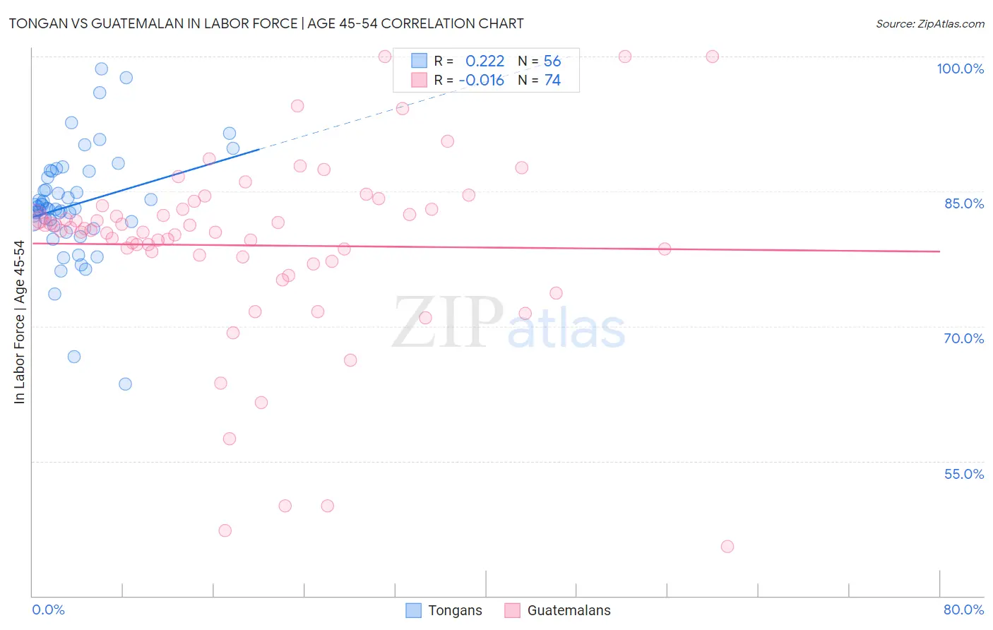 Tongan vs Guatemalan In Labor Force | Age 45-54