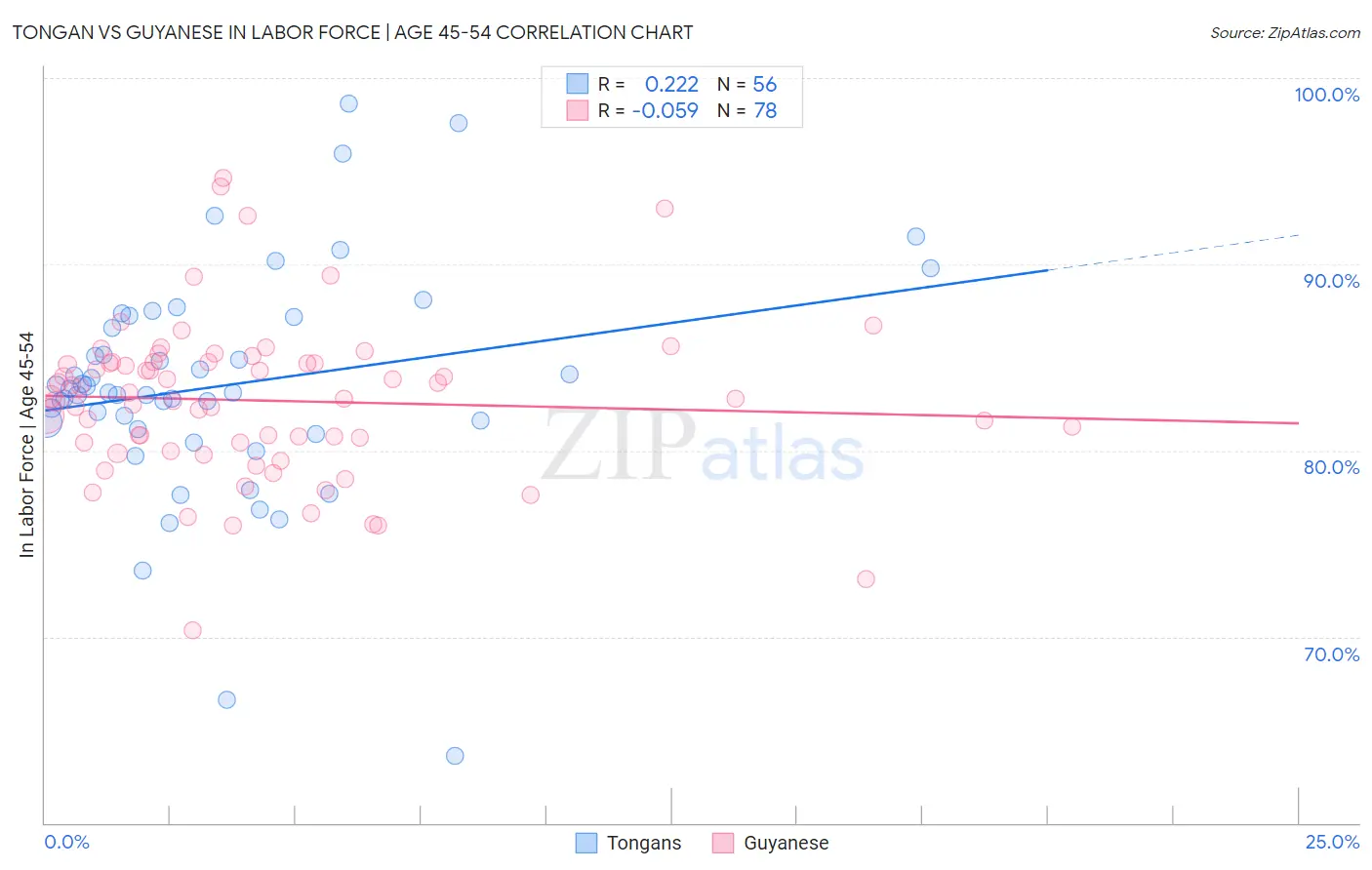 Tongan vs Guyanese In Labor Force | Age 45-54