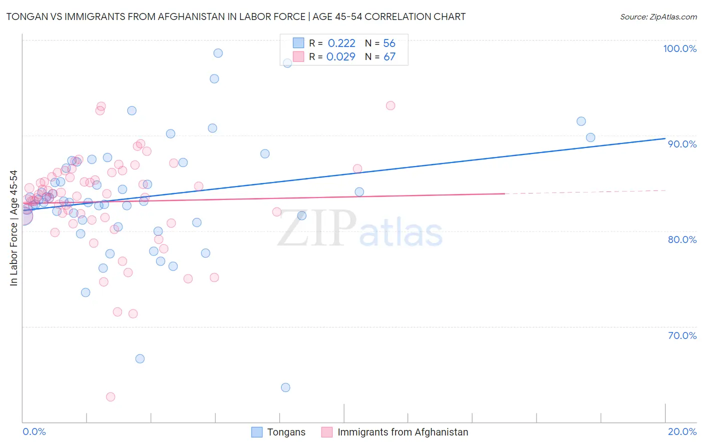 Tongan vs Immigrants from Afghanistan In Labor Force | Age 45-54