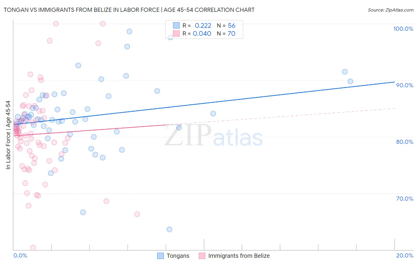 Tongan vs Immigrants from Belize In Labor Force | Age 45-54