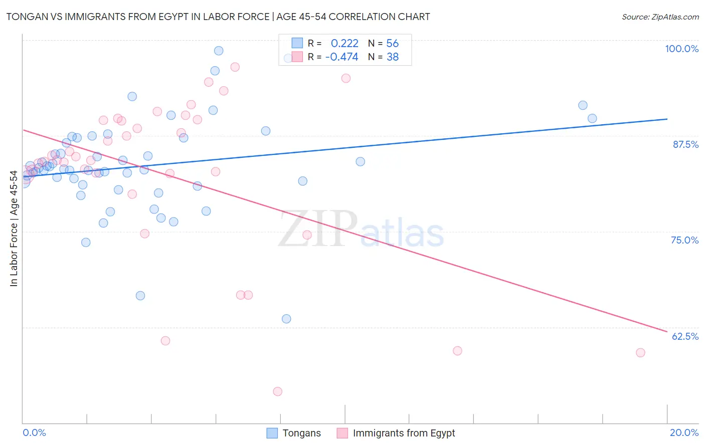 Tongan vs Immigrants from Egypt In Labor Force | Age 45-54