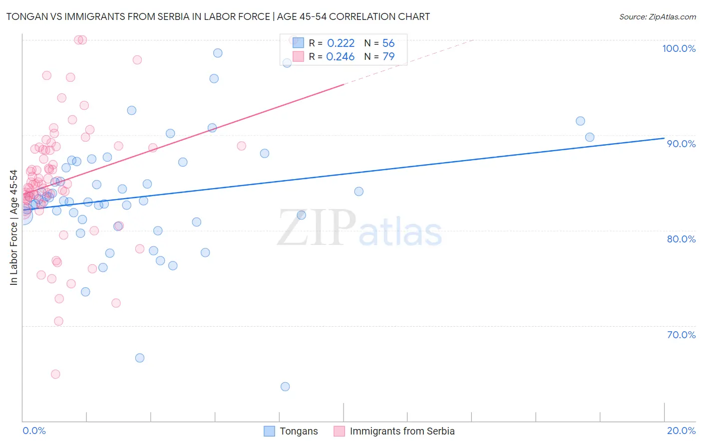 Tongan vs Immigrants from Serbia In Labor Force | Age 45-54