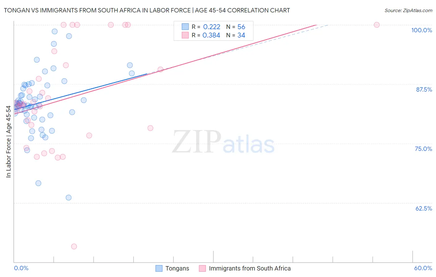 Tongan vs Immigrants from South Africa In Labor Force | Age 45-54
