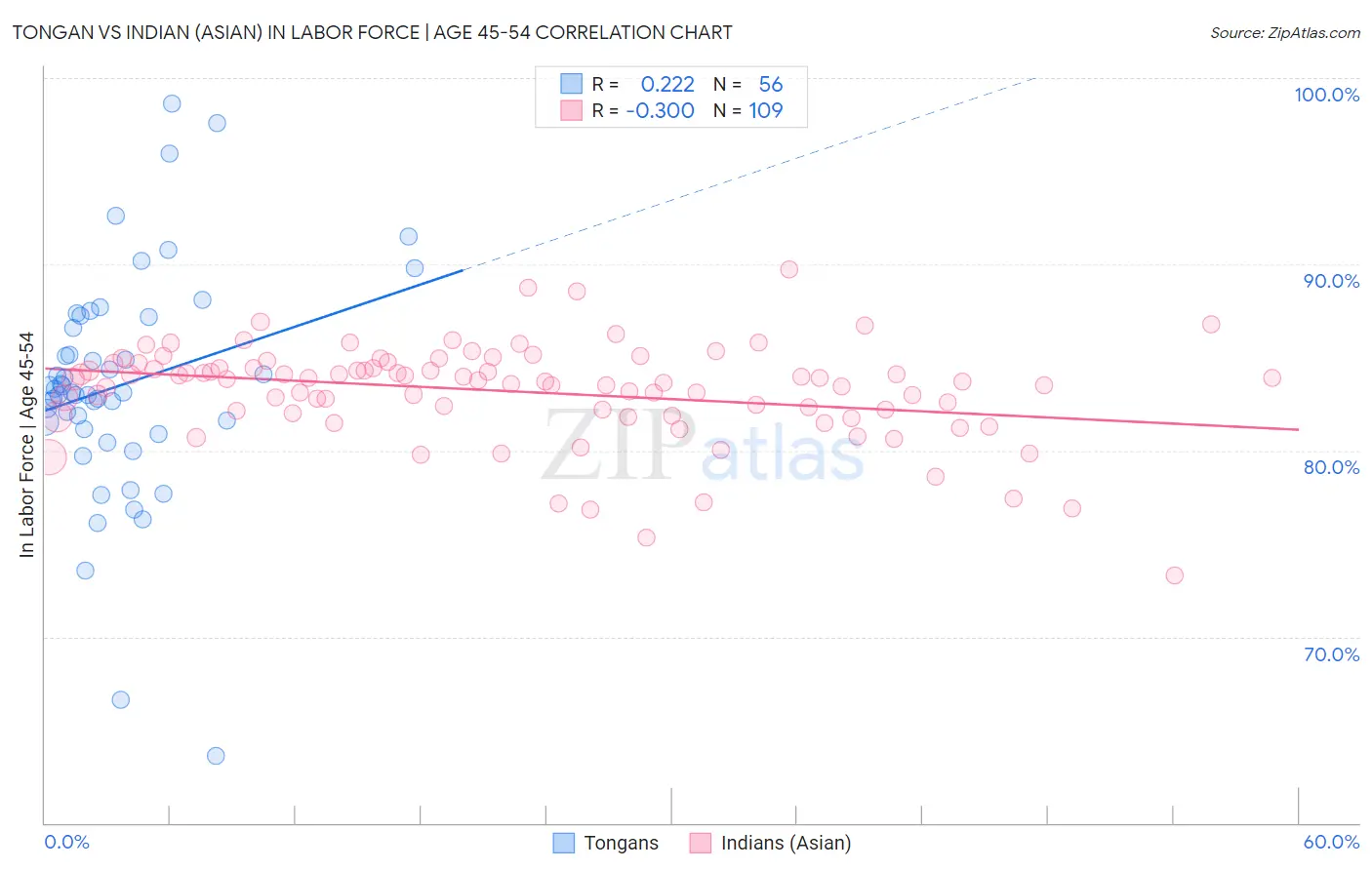 Tongan vs Indian (Asian) In Labor Force | Age 45-54