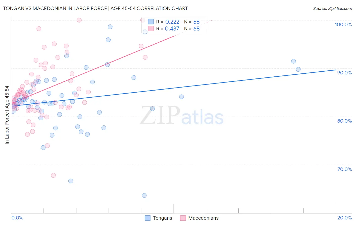 Tongan vs Macedonian In Labor Force | Age 45-54