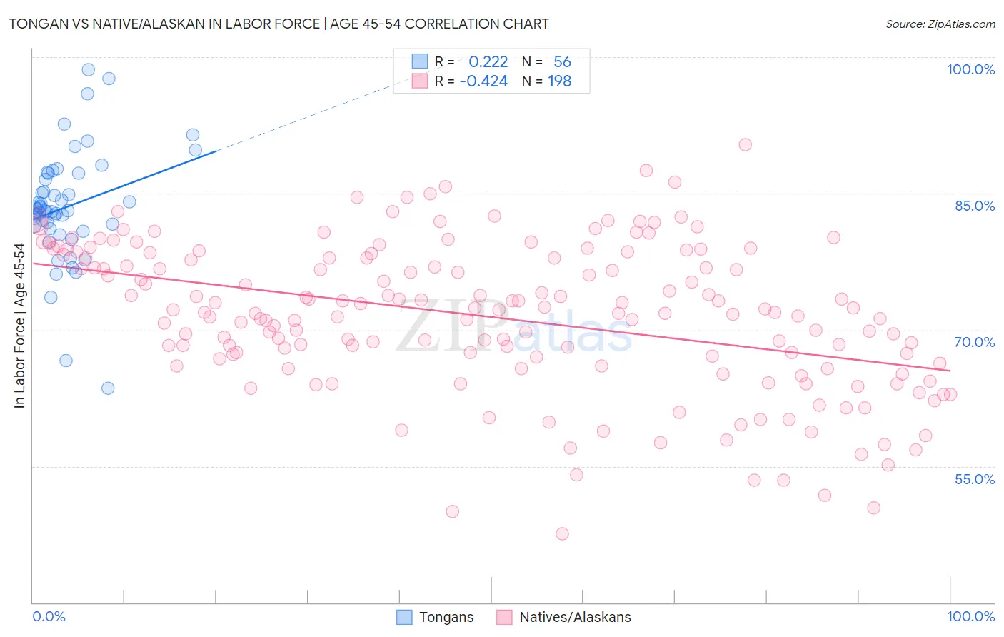 Tongan vs Native/Alaskan In Labor Force | Age 45-54