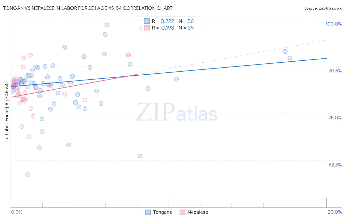 Tongan vs Nepalese In Labor Force | Age 45-54
