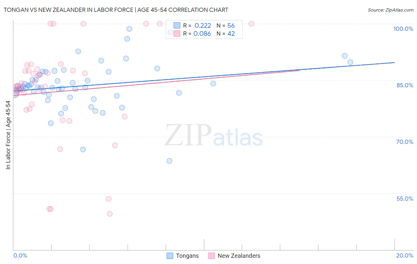 Tongan vs New Zealander In Labor Force | Age 45-54