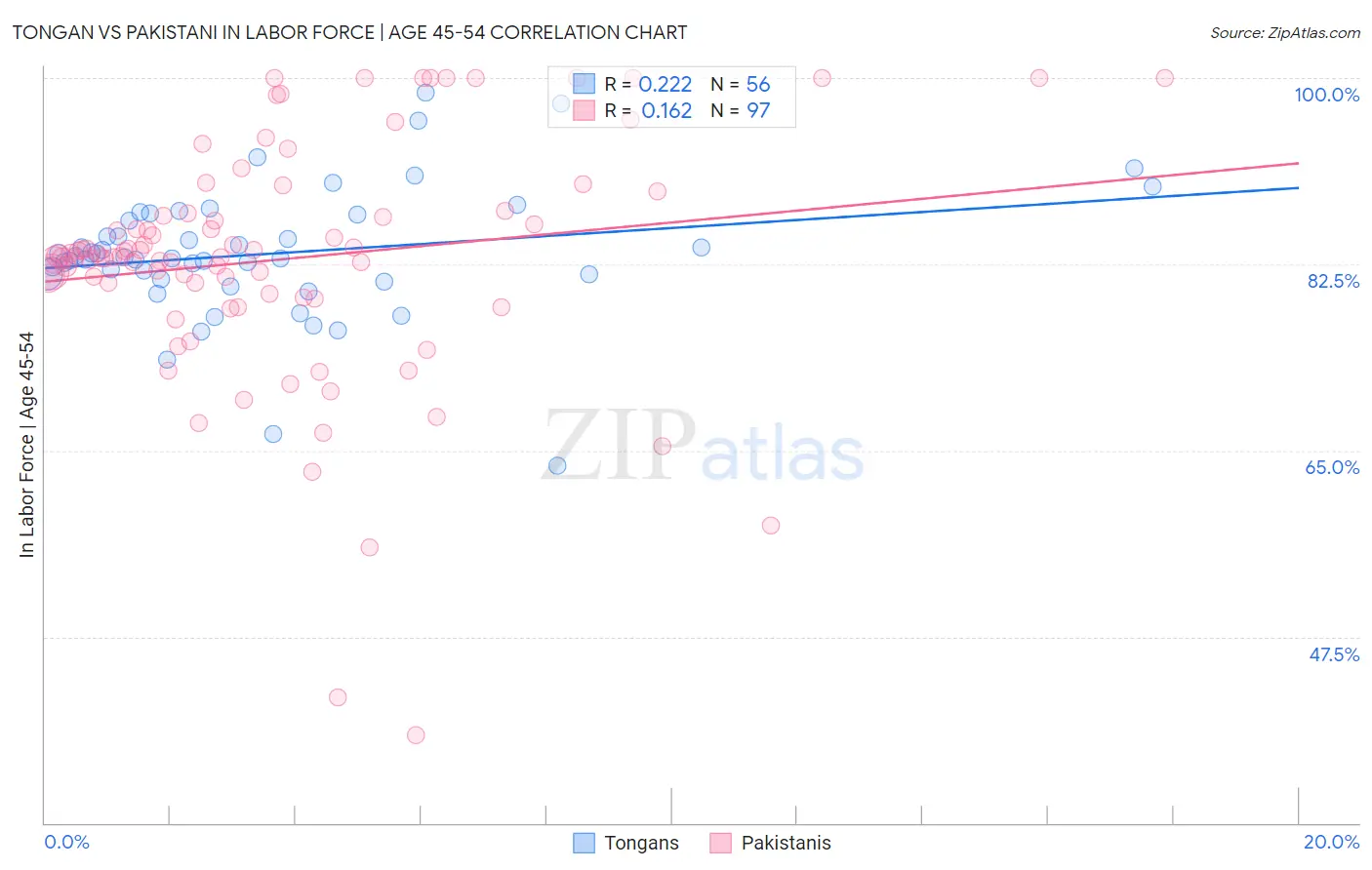 Tongan vs Pakistani In Labor Force | Age 45-54