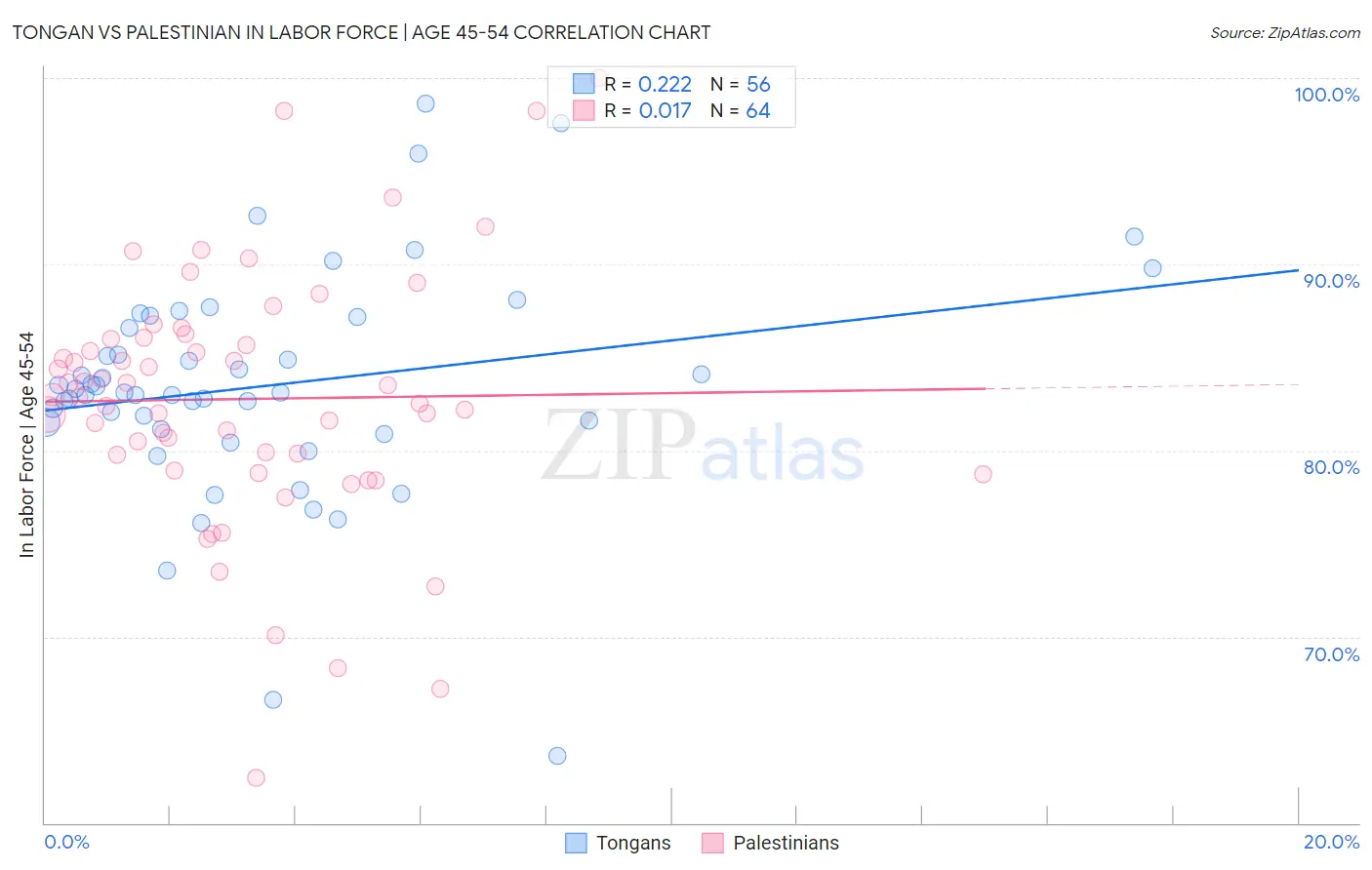 Tongan vs Palestinian In Labor Force | Age 45-54