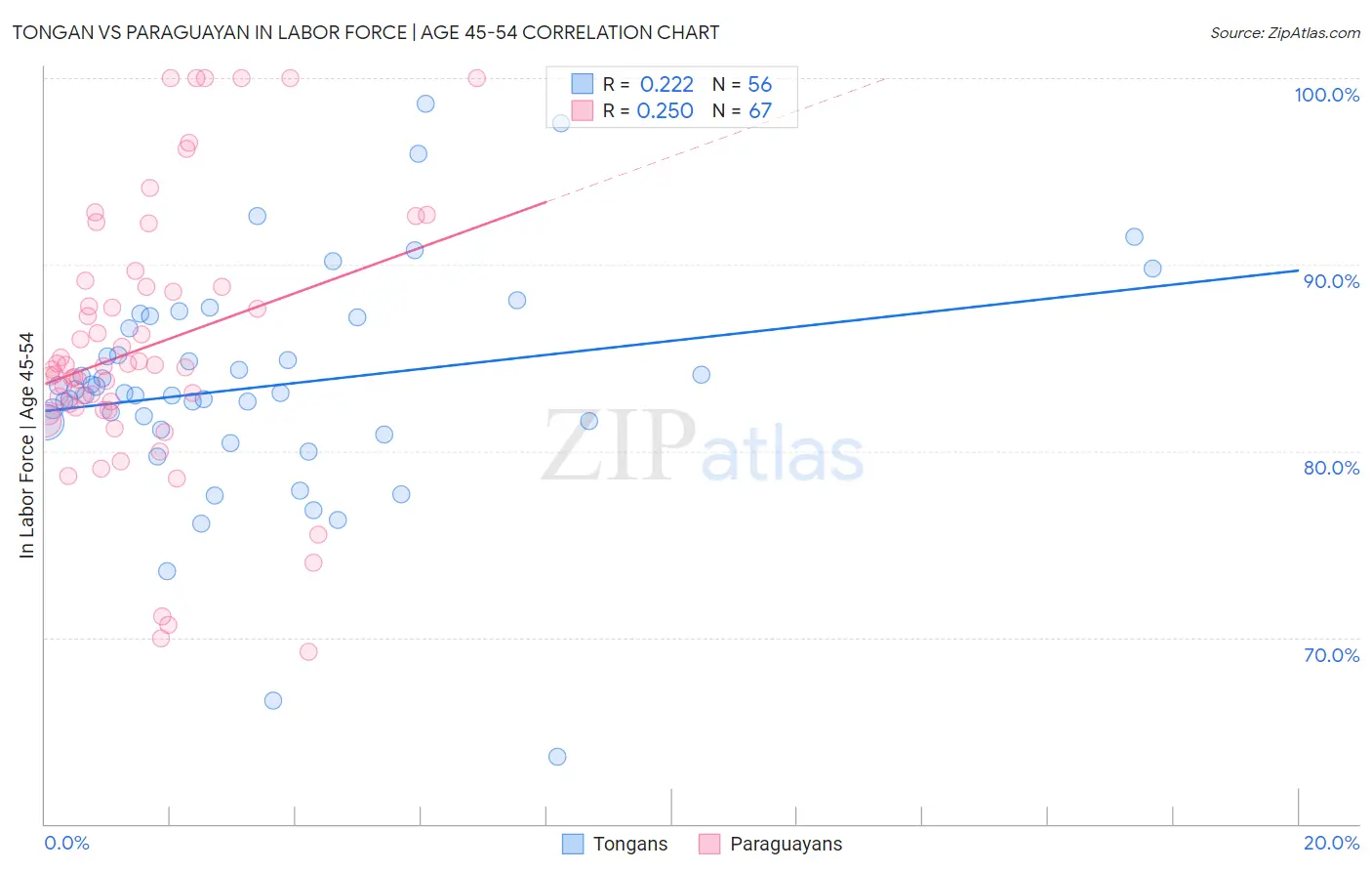 Tongan vs Paraguayan In Labor Force | Age 45-54