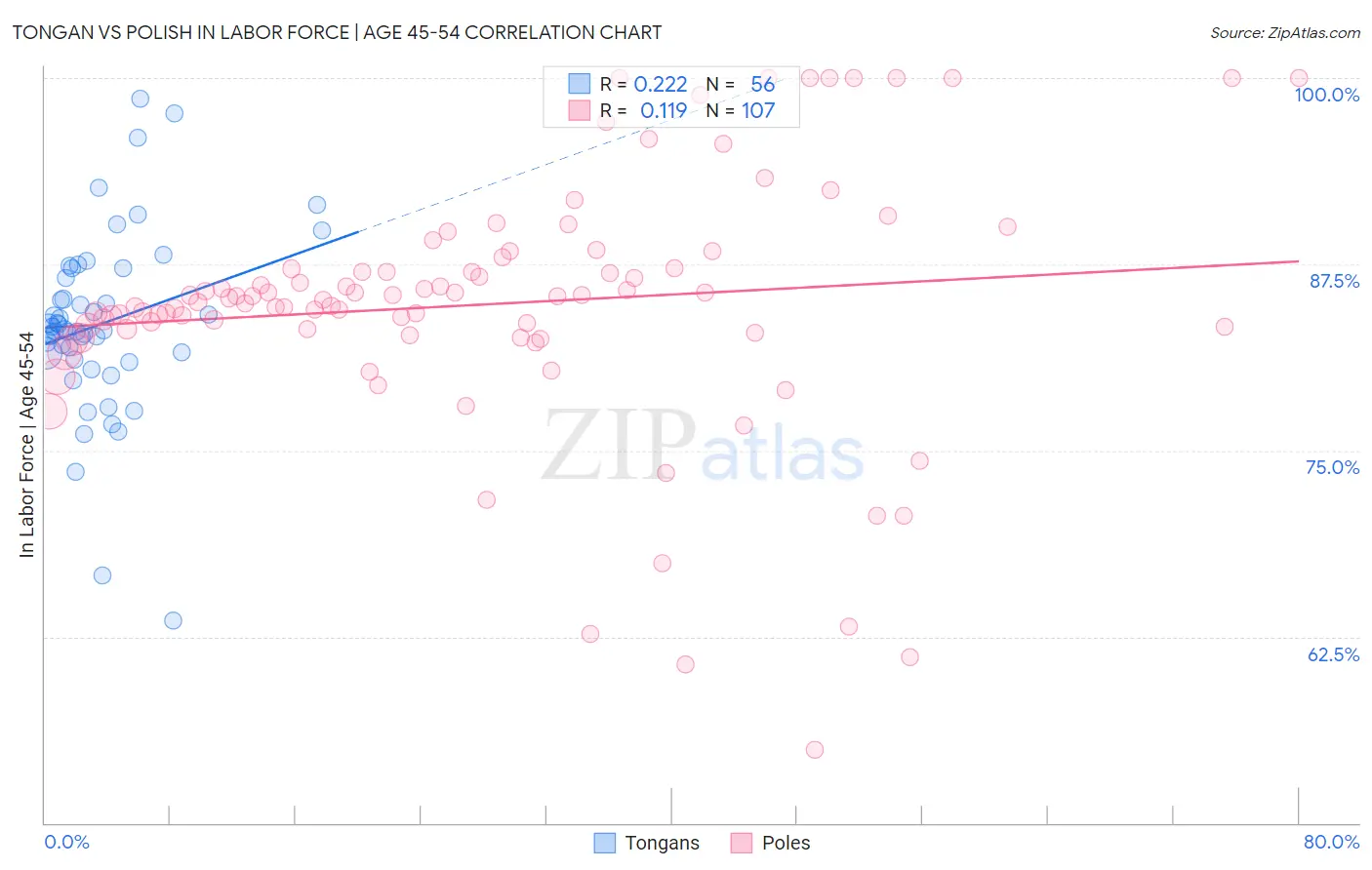 Tongan vs Polish In Labor Force | Age 45-54