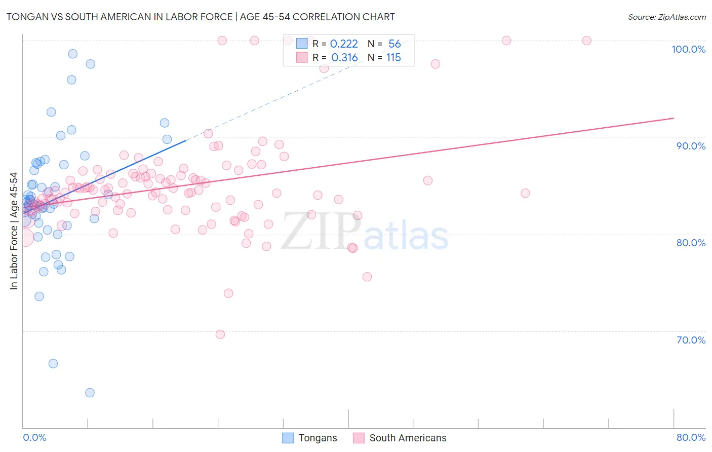 Tongan vs South American In Labor Force | Age 45-54
