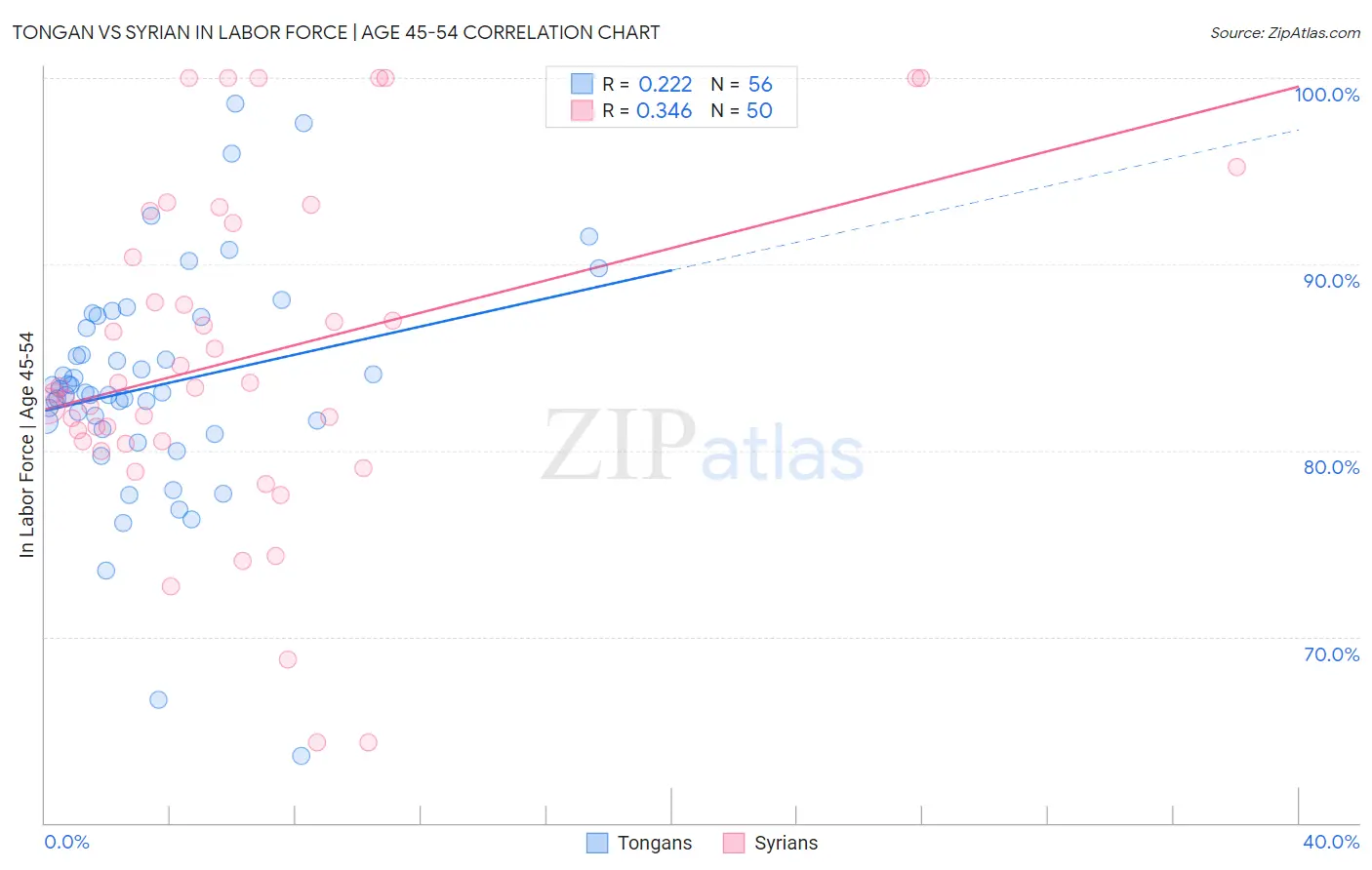Tongan vs Syrian In Labor Force | Age 45-54
