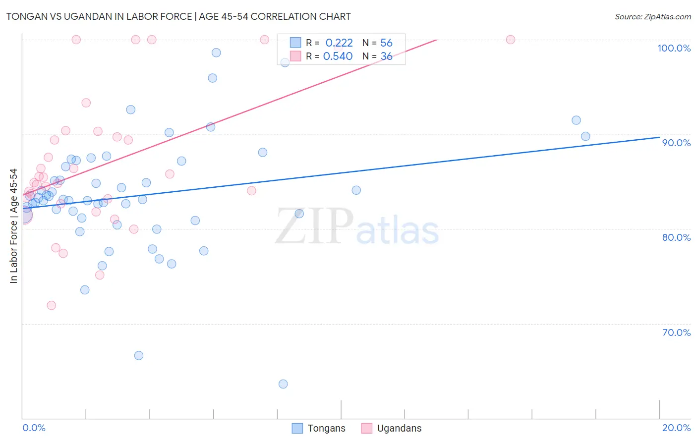 Tongan vs Ugandan In Labor Force | Age 45-54