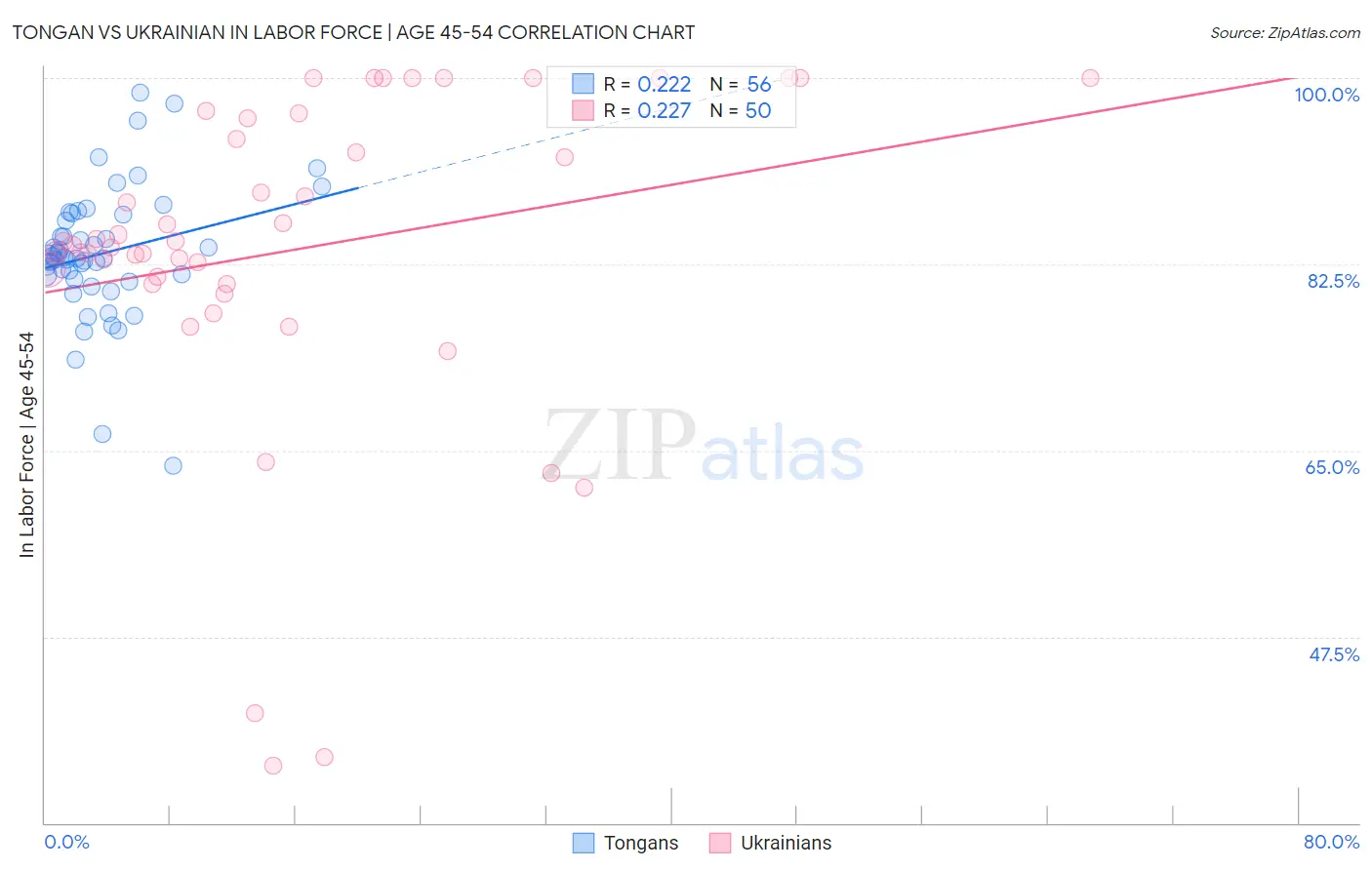 Tongan vs Ukrainian In Labor Force | Age 45-54