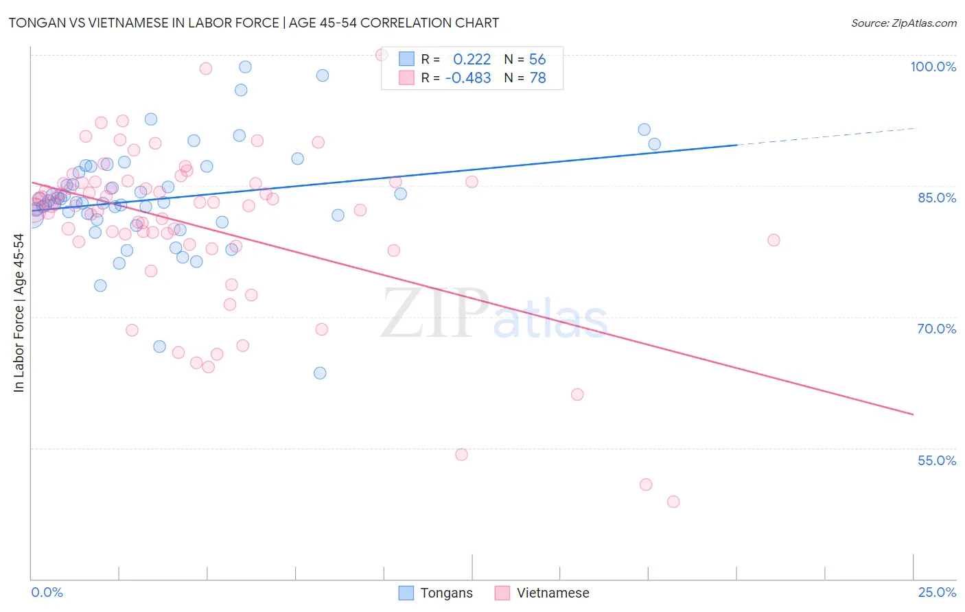 Tongan vs Vietnamese In Labor Force | Age 45-54