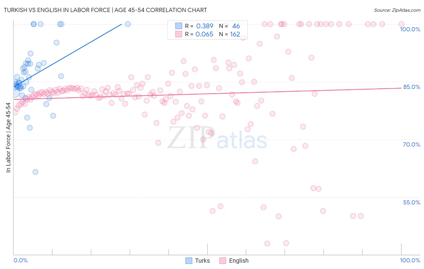Turkish vs English In Labor Force | Age 45-54