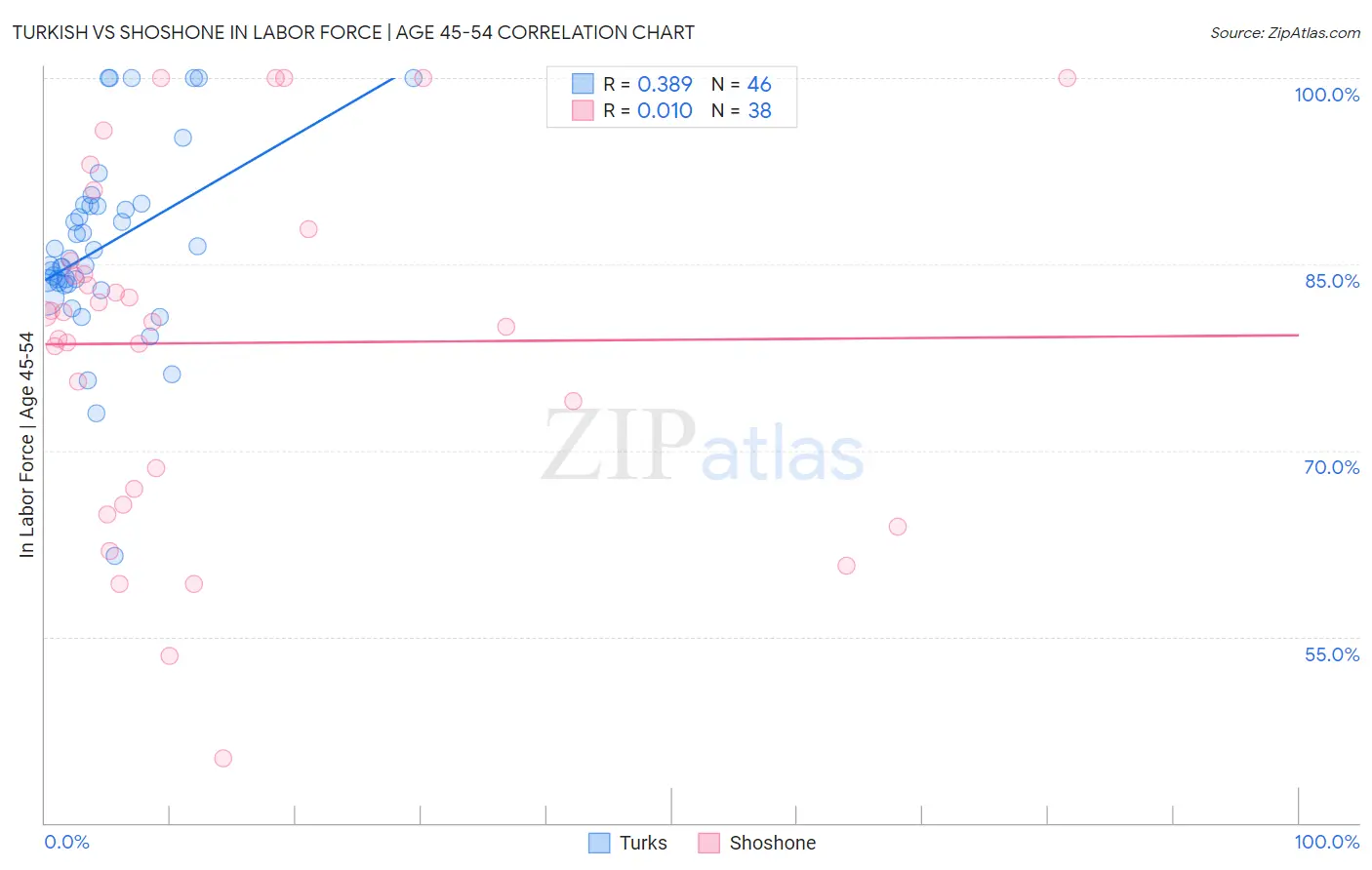 Turkish vs Shoshone In Labor Force | Age 45-54