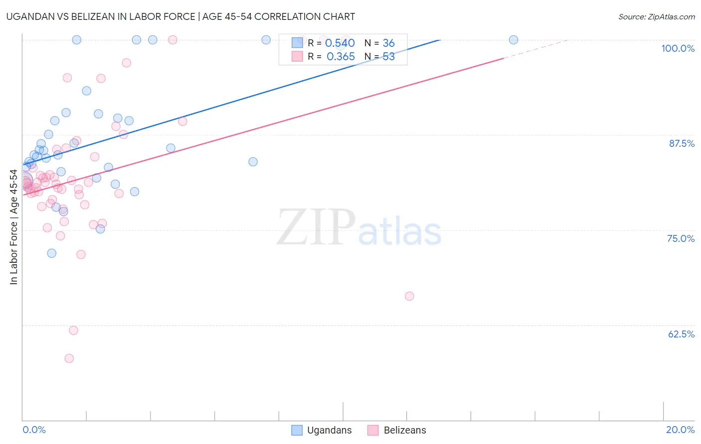 Ugandan vs Belizean In Labor Force | Age 45-54