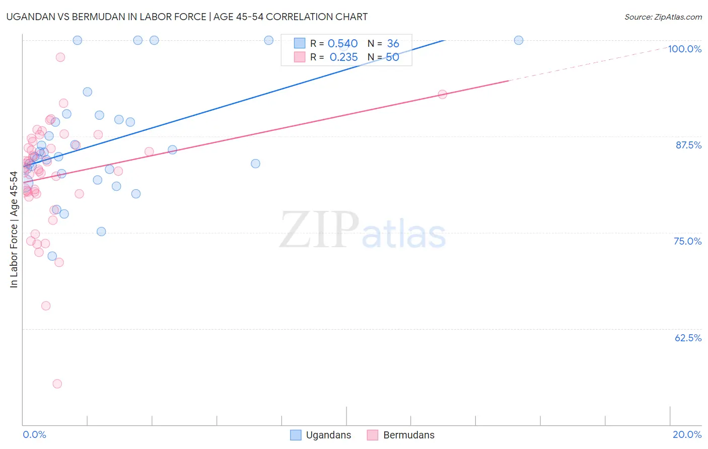 Ugandan vs Bermudan In Labor Force | Age 45-54
