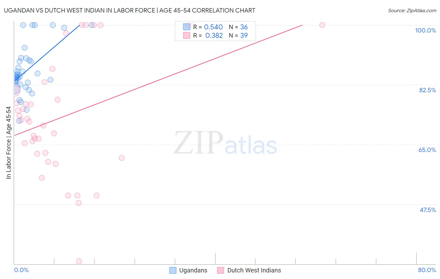 Ugandan vs Dutch West Indian In Labor Force | Age 45-54