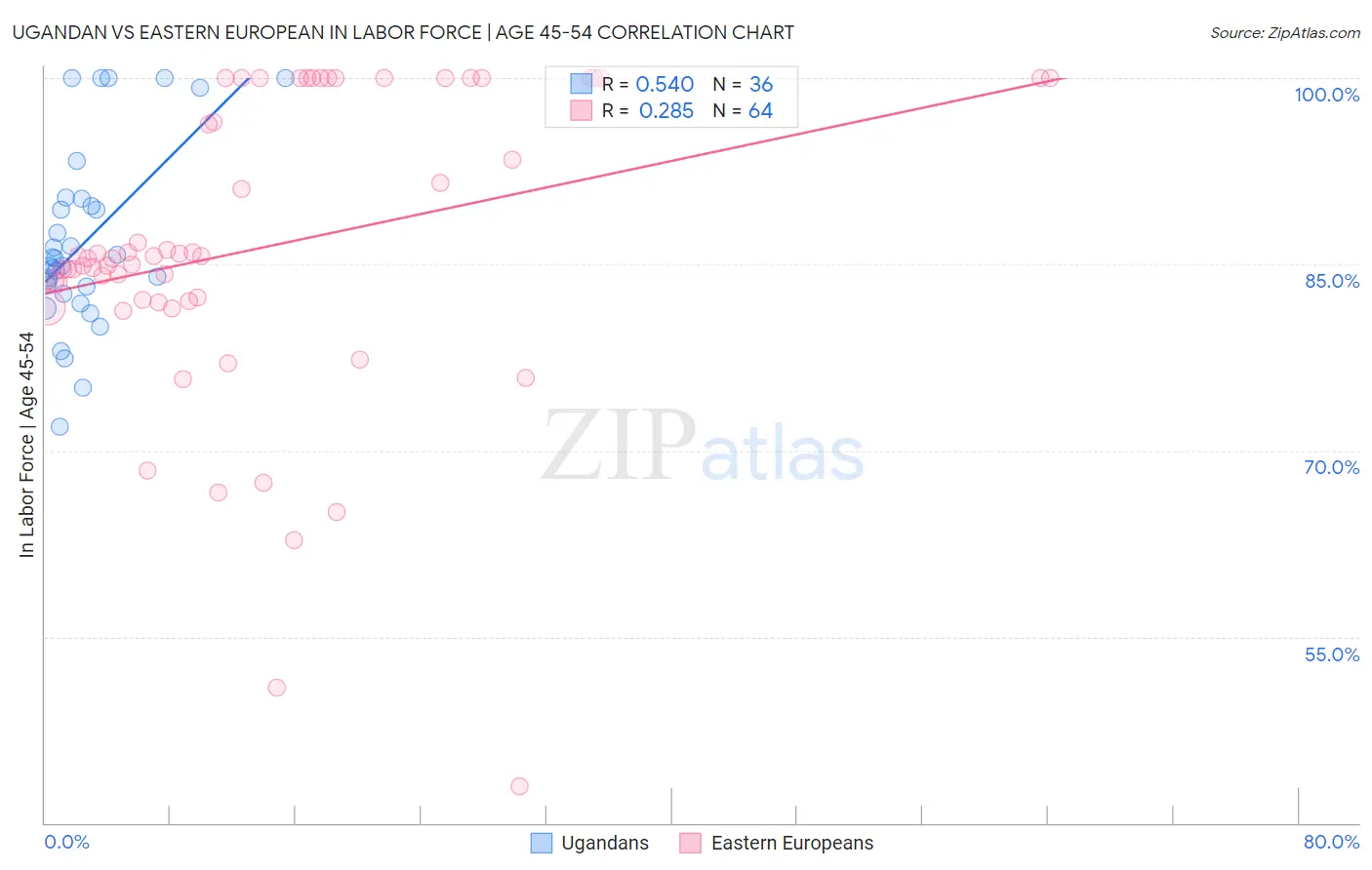 Ugandan vs Eastern European In Labor Force | Age 45-54