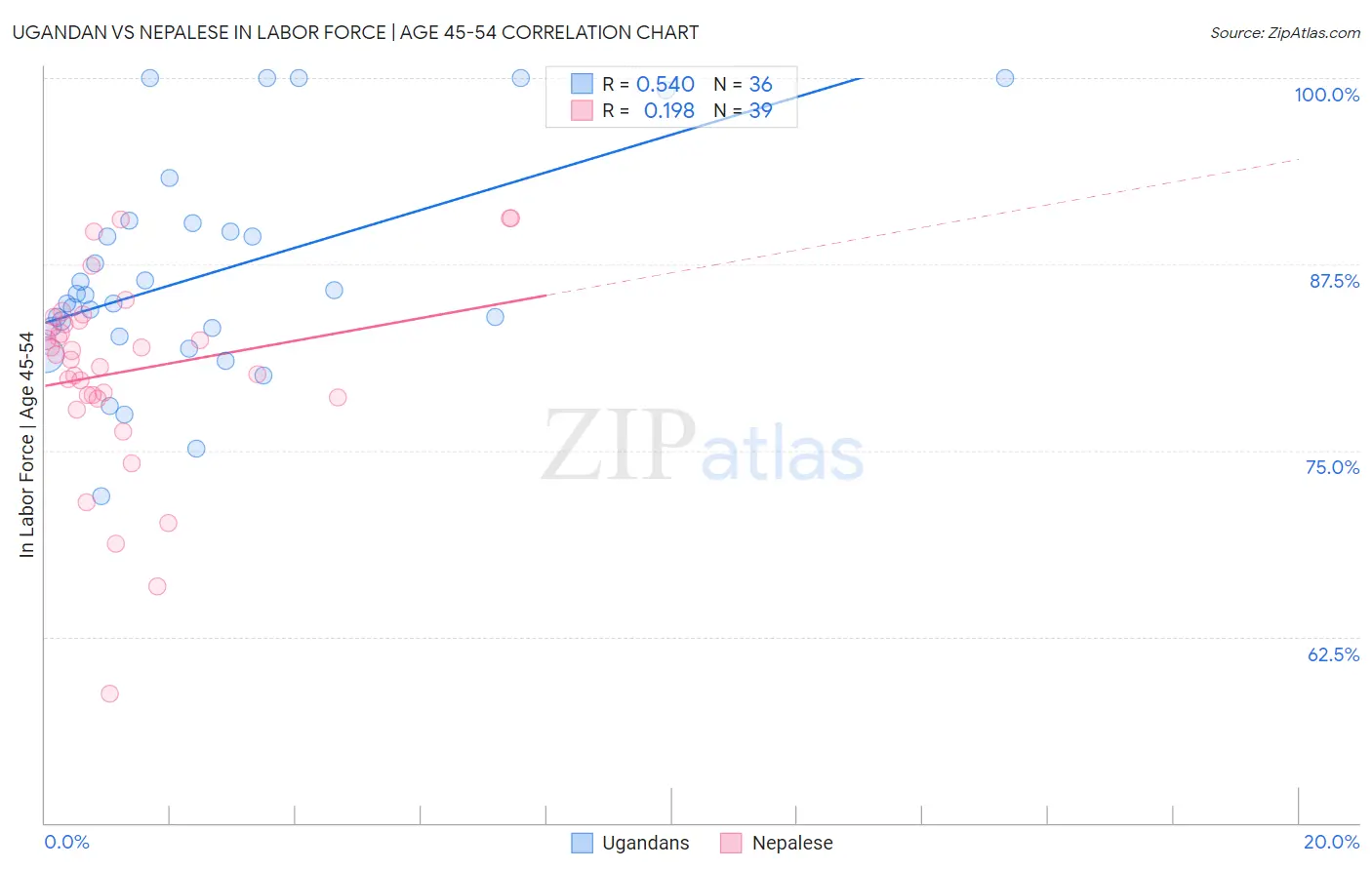 Ugandan vs Nepalese In Labor Force | Age 45-54