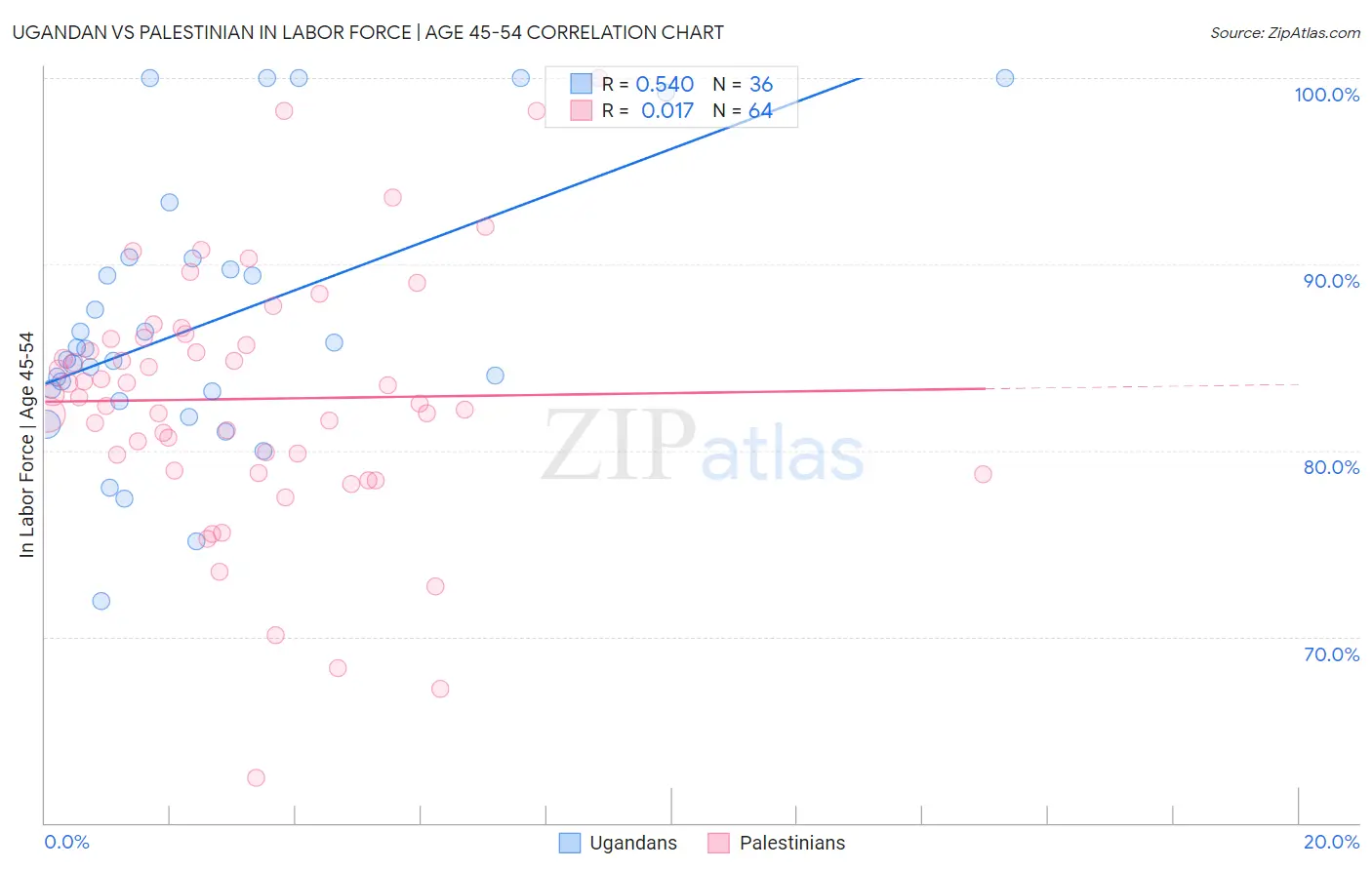 Ugandan vs Palestinian In Labor Force | Age 45-54