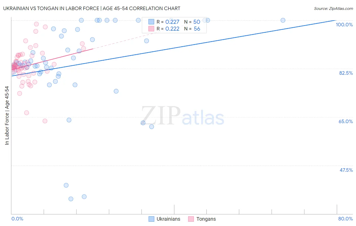 Ukrainian vs Tongan In Labor Force | Age 45-54