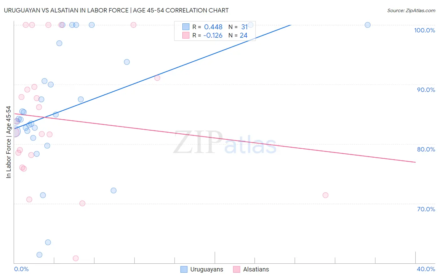 Uruguayan vs Alsatian In Labor Force | Age 45-54