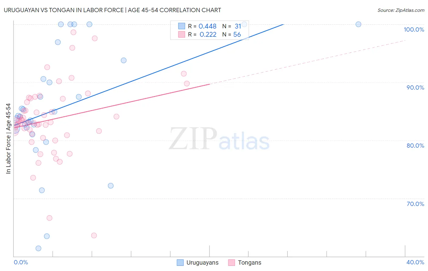 Uruguayan vs Tongan In Labor Force | Age 45-54