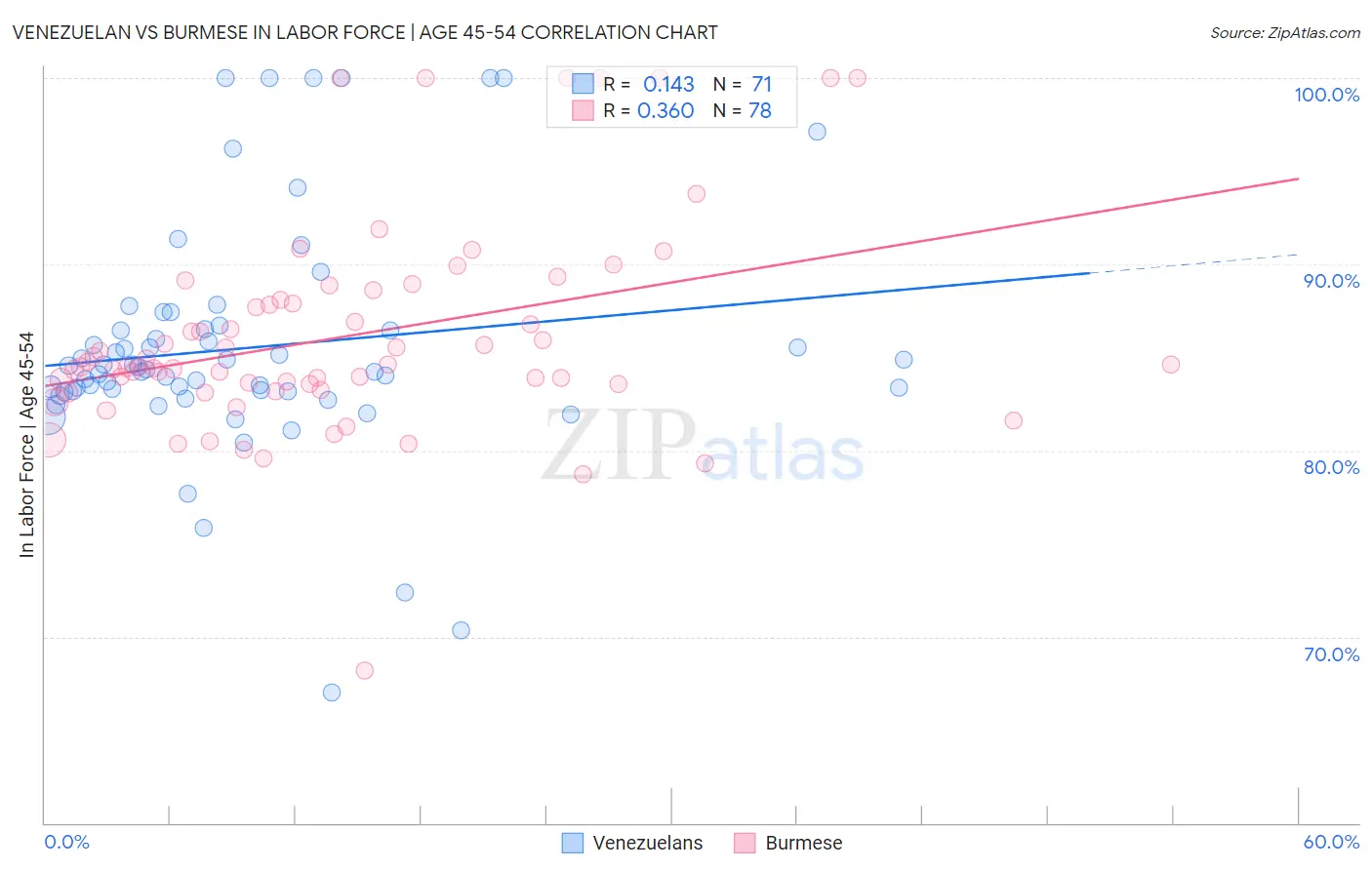 Venezuelan vs Burmese In Labor Force | Age 45-54