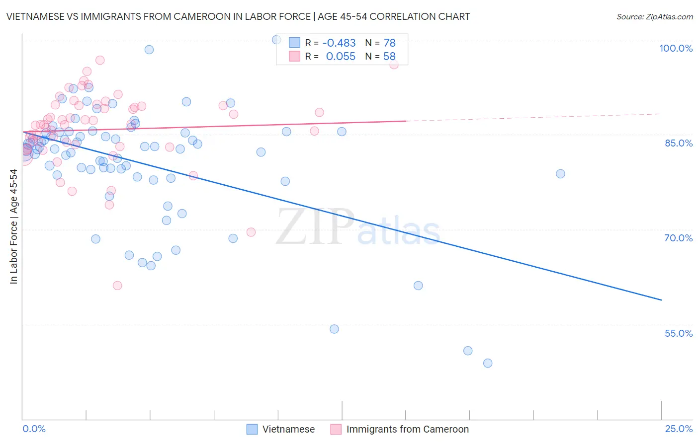 Vietnamese vs Immigrants from Cameroon In Labor Force | Age 45-54