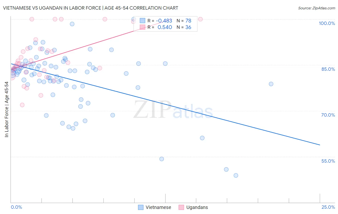 Vietnamese vs Ugandan In Labor Force | Age 45-54